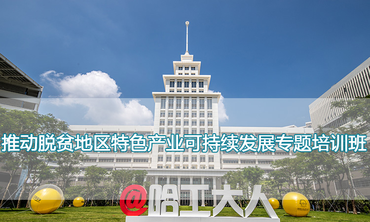 哈尔滨工业大学（深圳）-推动脱贫地区特色产业可持续发展专题培训班